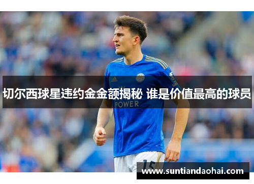 切尔西球星违约金金额揭秘 谁是价值最高的球员