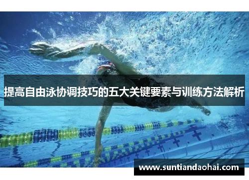 提高自由泳协调技巧的五大关键要素与训练方法解析