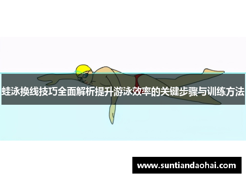 蛙泳换线技巧全面解析提升游泳效率的关键步骤与训练方法